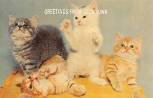IA, Iowa  LEON Greetings  PLAYFUL QUARTETTE~4 Kittens  DECATUR COUNTY  Postcard