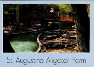 2~4X6 Postcards FL, Florida ST AUGUSTINE ALLIGATOR FARM~ROSS ALLEN MILKING SNAKE