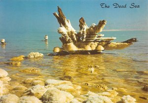 The Dead Sea Israel Unused 