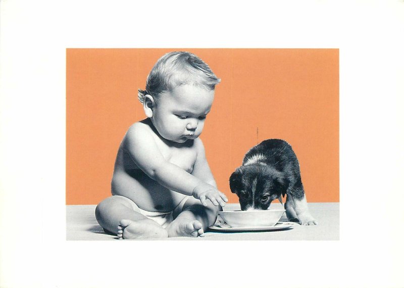 Children Postcard boy feeding his little pup dog