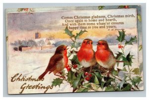 Vintage 1909 Tuck's Christmas Postcard - Cute Red Belly Birds Mistletoe