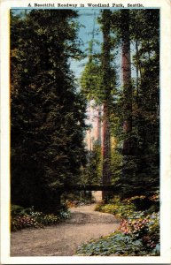 Beautiful Roadway Woodland Park Seattle Washington WB Antique Postcard Vintage 