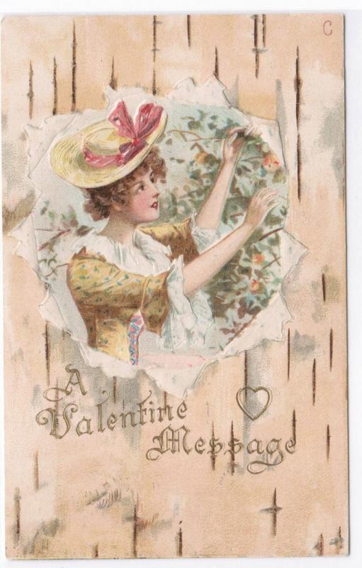 Beautiful Lady A Valentine Message 1905c embossed postcard