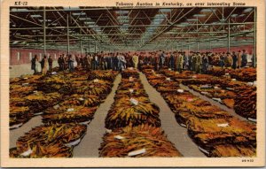 Vintage Tobacco Auction in Kentucky KY Linen Postcard