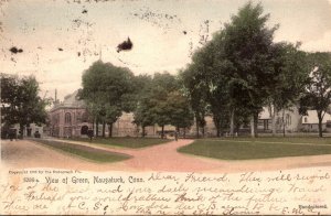 Connecticut Naugatuck View Of Green 1905 Rotograph