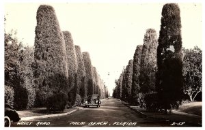 RPPC Postcard  Wells Road Tall Trees Old Cars Palm Beach Florida c1950s