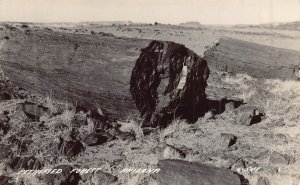 PETRIFIED FOREST ARIZONA~1940s REAL PHOTO POSTCARD