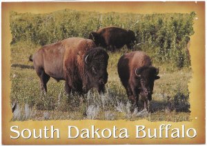 US Unused. South Dakota Buffalo.  Nice.