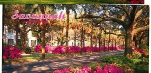 Victory Drive Palms Azaleas Savannah GA Georgia postcard