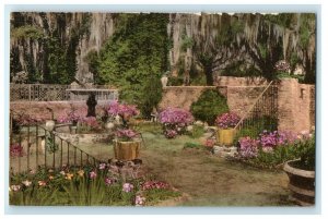 c1940's Wormsloe Gardens Isle Of Hope Savannah Georgia GA Handcolored Postcard 