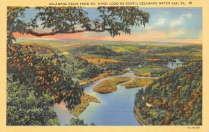 Delaware Water Gap Pennsylvania 1940s Postcard River from Mt Minsi