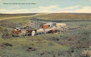 Things Are Looking Good Down on the Claim Western Prairie 1910c postcard