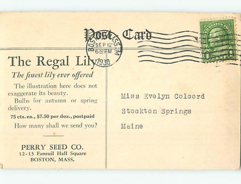 1930 postcard ad LILY FLOWERS - PERRY SEED CO. IN BOSTON MASSACHUSETTS MA HL5835