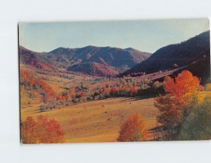 Postcard An autumn scene in Maggie Valley, as seen from U. S. Highway 19, N. C.