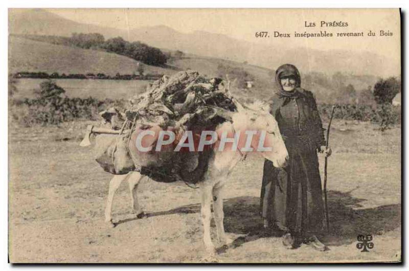 Old Postcard Folklore Pyrenees Two inseparable returning timber ane Mule TOP