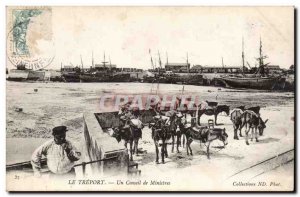 Treport - A Council of Ministers - Ass - donkey - Old Postcard