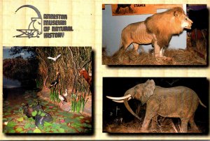 Alabama Anniston Museum Of Natural History