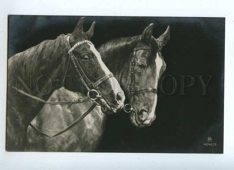 215013 Two Friends HORSE Heads Vintage PHOTO RPH postcard