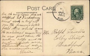 DeFuniak Springs Florida FL Alpine Park c1910 Postcard