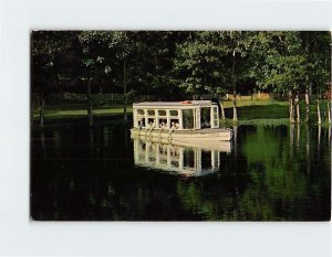 M-215431 Glass Bottom Boat Florida's Silver Springs USA