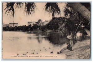 c1940 Feeding Wild Ducks Mirror Lake St Petersburg Florida FL Artvue Postcard