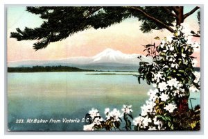 Mount Baker From Victoria British Columbia Canada UNP DB Postcard N22