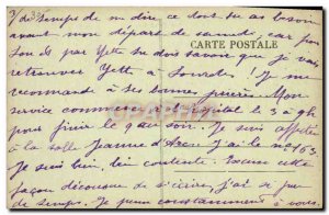 Old Postcard Dogs Dog The Pyrenees The father mother and son