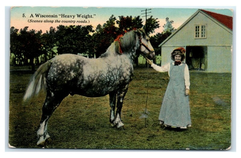 Postcard A Wisconsin Heavy Weight Draft Horse 1912 E11