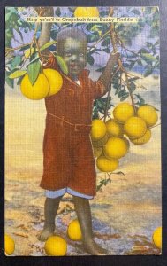 1952 Miami FL USA Postcard Cover Black American Grapefruit From Sunny Florida