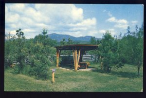 Conway, New Hampshire/NH Postcard,Eastern Slope Camping Area