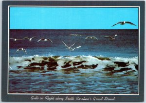 VINTAGE CONTINENTAL SIZE POSTCARD SEAGULLS IN FLIGHT ALONG SOUTH CAROLINA COAST