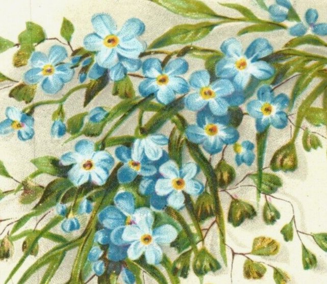 1880s Victorian New Year's Trade Card Lovely Blue Flowers F106