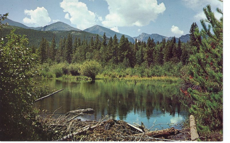 US    PC3987 GLACIER CREEK, ROCKY MOUNTAIN NATIONAL PARK, COLORADO