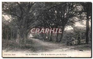 Old Postcard IThe Bois d Oleron La Martiere near St Pierre