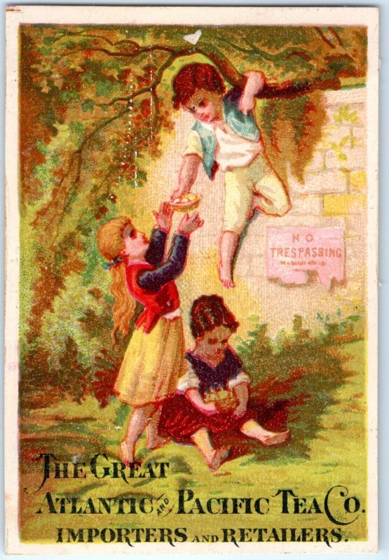 c1880s Great Atlantic & Pacific Tea Co Cute Boy Girls Trespassing Bird Eggs C35 