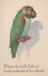 Talking Swearing Parrot Where's Father Bird Comic Old Postcard