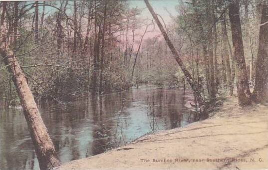 North Carolina Southern Pines The Sumbee River Albertype