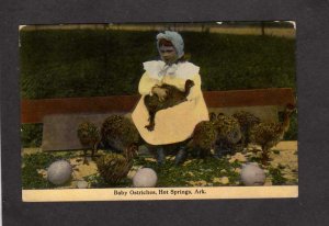 AR Baby Ostriches Bird Girl holding Ostrich Hot Springs Arkansas Postcard Ark