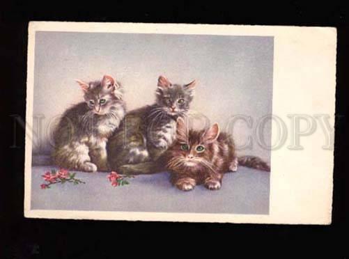 001884 Fluffy KITTIES w/ Green Eyes Vintage color PC