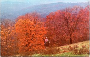 Postcard MO  Autumn in the Ozarks - Man on horeseback amoung hills and trees