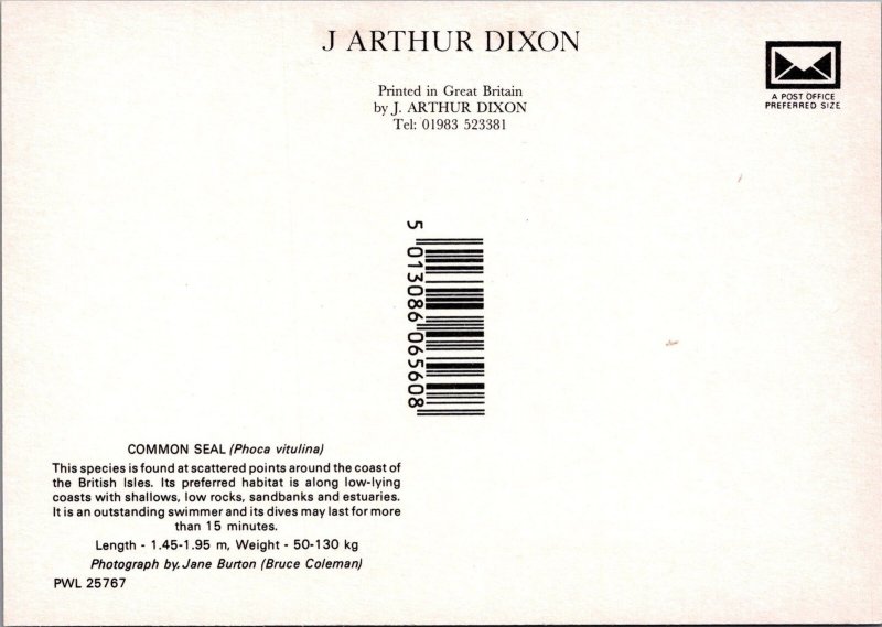 Animals Postcard - Common Seal, Phoca Vitulina SW17259