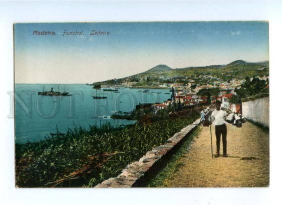 173098 PORTUGAL MADEIRA FUNCHAL Leiteiro Vintage postcard