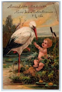 1910 Stork Delivering Baby Embossed Eaton Rapids Michigan MI Antique Postcard