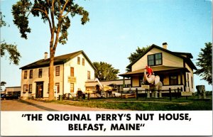 Postcard The Original Perry's Nut House in Belfast, Maine