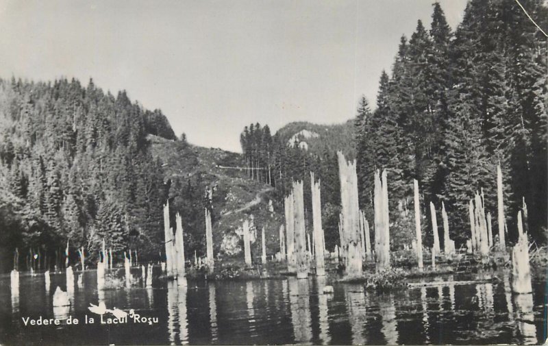 Postcard Romania Lacul Rosu vedere peisaj pitoresc