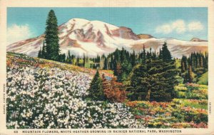 USA Rainier National Park Mountain Flowers Washigton Linen Postcard 08.15