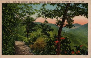 Path to Hickory Nut Falls, Chimney Rock Mountain, Western, N.C.   PC