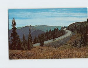 Postcard Heart-Of-The-Hills Road To Hurricane Lodge, Olympic National Park, WA