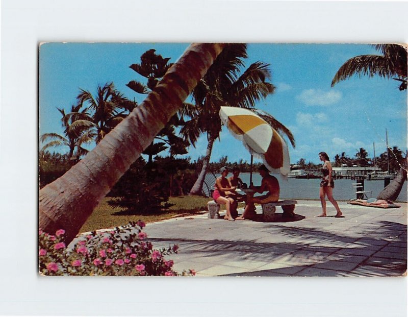 Postcard A sunny terrace in the beautiful Southland, Florida