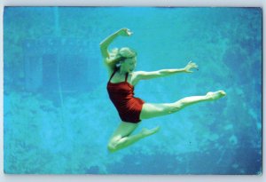 1960 St. Petersburg Florida Postcard Weeki Wachee Spring Of the Mermaids Theatre